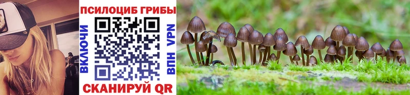 Галлюциногенные грибы Magic Shrooms  мега рабочий сайт  Похвистнево 